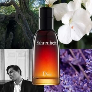 Fahrenheit de Dior Eau de Toilette