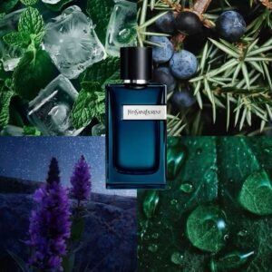 Y Yves Saint Laurent Eau de Parfum Intense