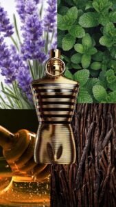 Jean Paul Gaultier Le Male Elixir